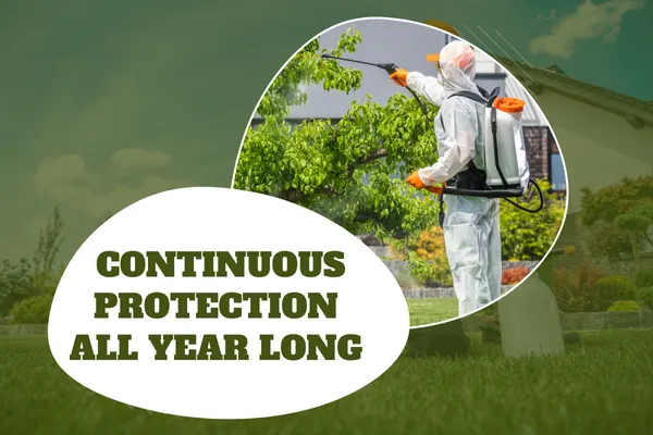 Year-Round Pest Protection Programs for Your Home