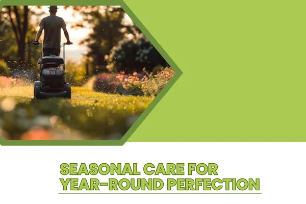 Professional Lawn Maintenance Programs for Every Season
