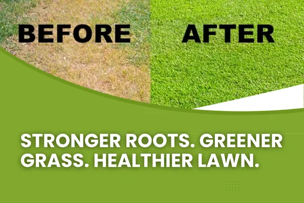 Advanced Lawn Maintenance Programs for a Healthier Yard