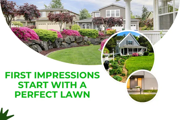 Expert Lawn Maintenance for Lasting Curb Appeal