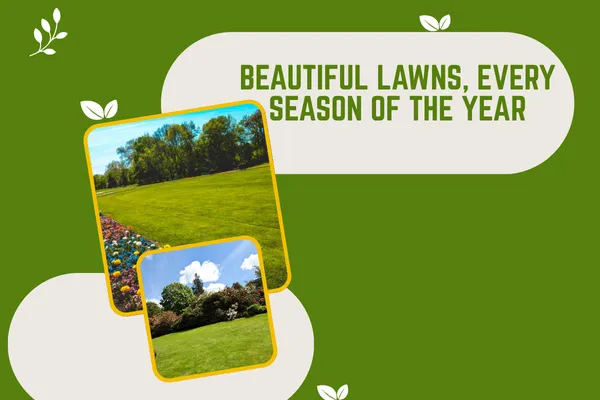 Complete Seasonal Lawn Maintenance Plans for Every Home