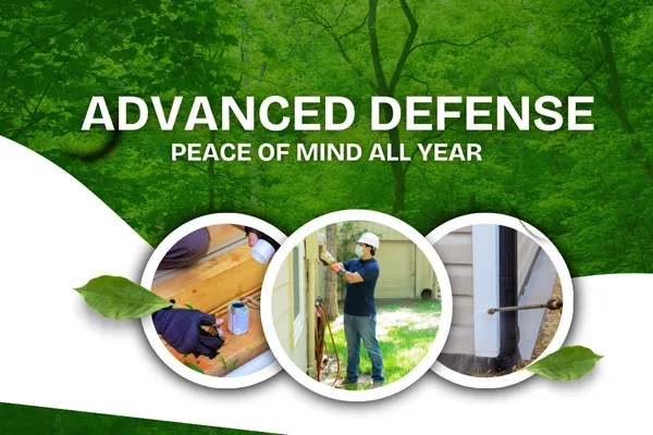 Advanced Pest Control Programs for Year-Round Home Protection