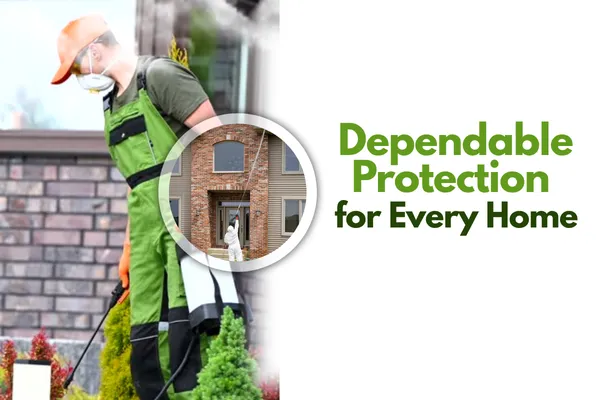 Reliable Residential Pest Control Services You Can Count On