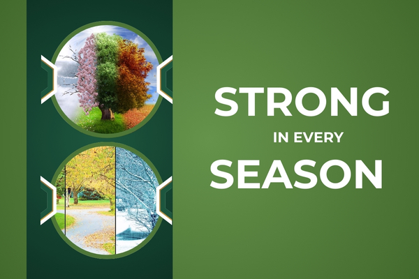 Seasonal Lawn Maintenance Programs for Consistent Year-Round Health