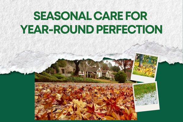 Seasonal Lawn Maintenance Programs for Year-Round Beauty