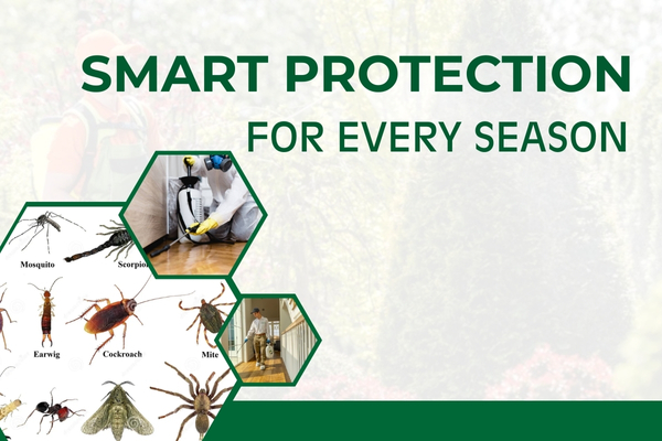 Seasonal Pest Control Programs to Combat Spring, Summer, Fall & Winter Pests