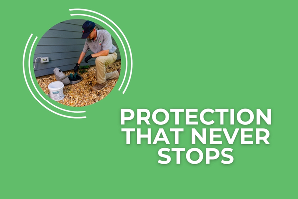 Year-Round Pest Control Programs for a Safe, Pest-Free Home