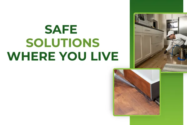 Technician treating baseboards inside a living room.
