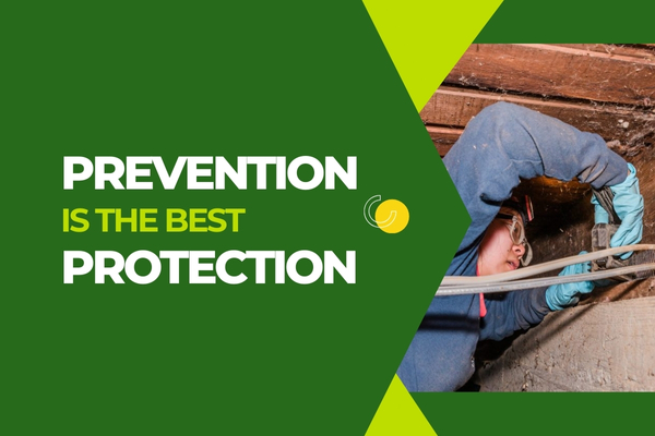 Pest technician sealing exterior entry points around a home.