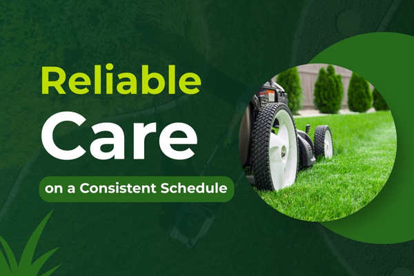 Lawn being professionally mowed on a scheduled service visit.