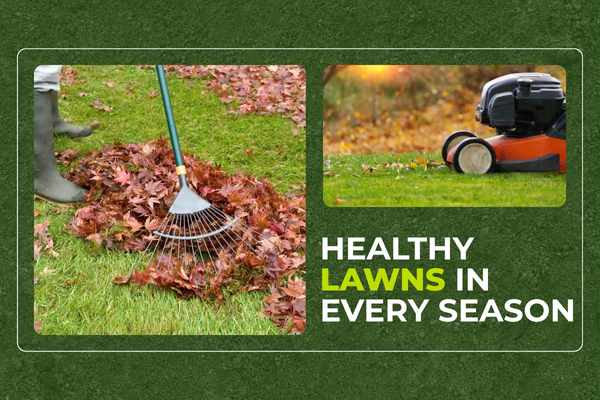 Seasonal lawn care service being performed on residential property.