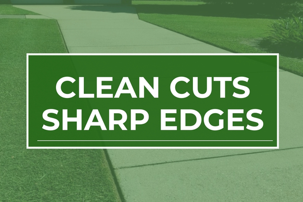 Freshly mowed lawn with sharp edges and defined trimming lines.