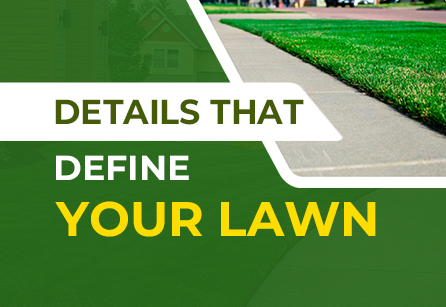 Close-up of clean lawn edges along a concrete walkway.