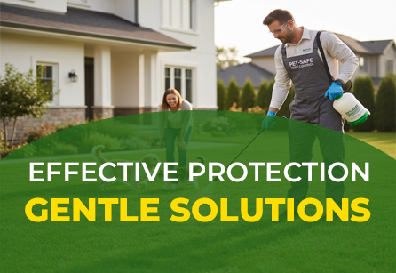 Pest control technician using pet-safe treatment around home.