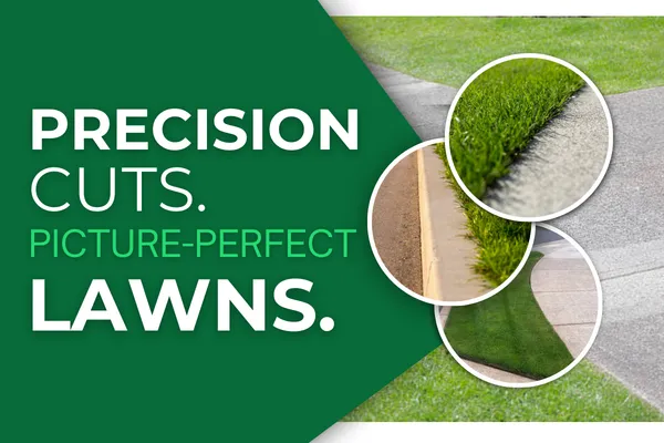Professional Lawn Mowing & Edging Services for a Clean, Polished Look