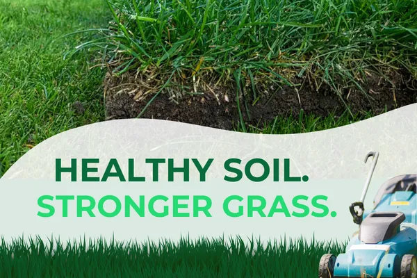 Soil Conditioning & Lawn Health Programs for Stronger Grass Growth