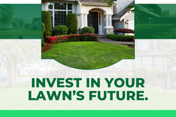 Complete Lawn Maintenance Programs for Long-Term Property Value