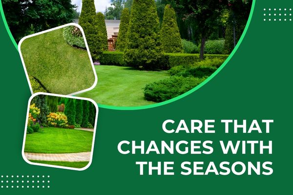 Seasonal Lawn Maintenance Programs for Year-Round Curb Appeal