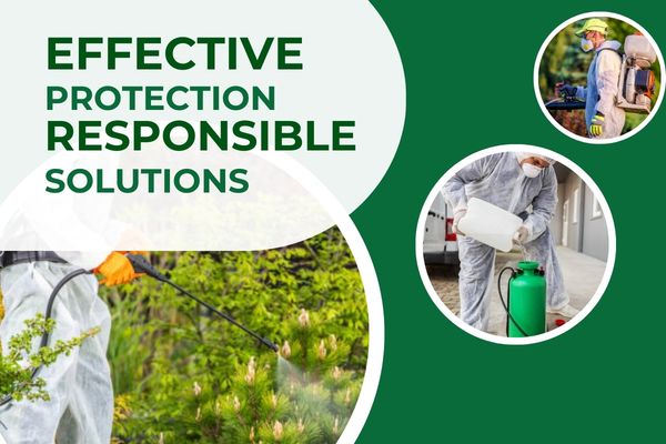 Pest control technician using environmentally safe treatment methods.