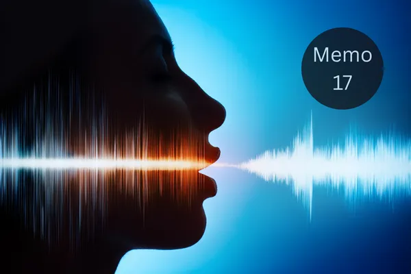 Coverbild Memo 17