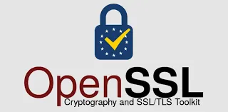 OpenSSL, a strong start