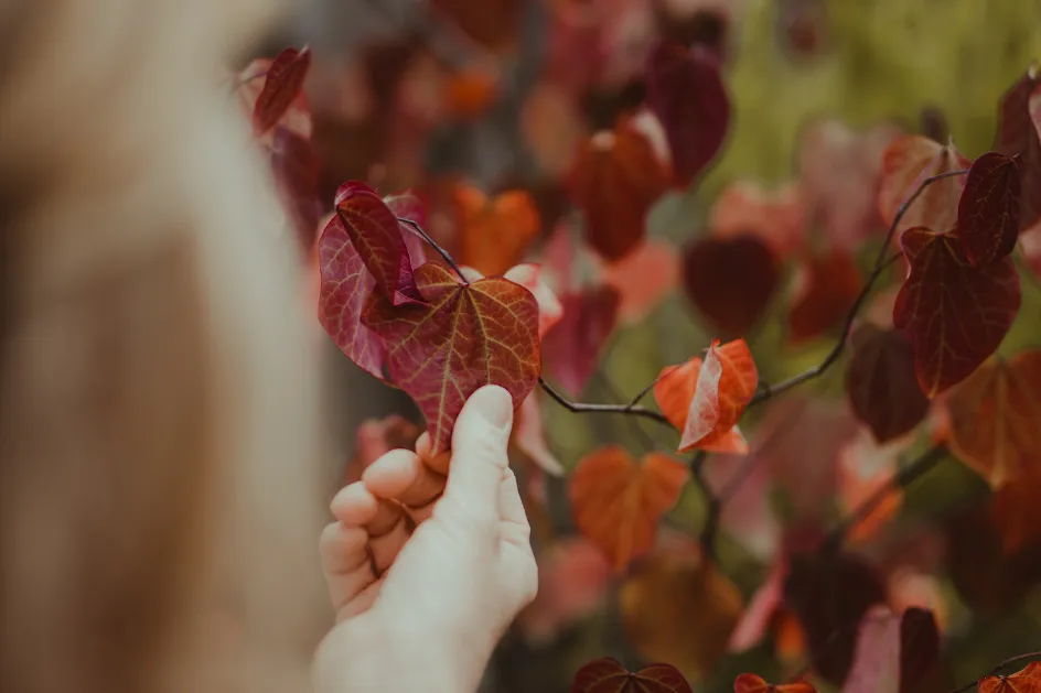 Woman touching leaf