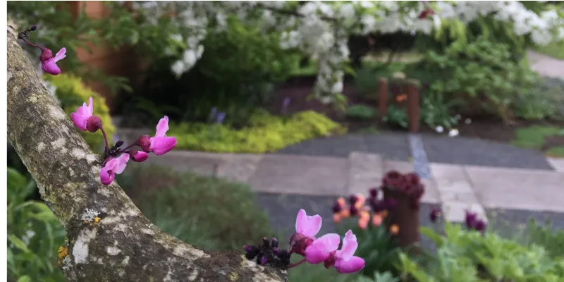 ISSUE NO. 15 | Feb 11, 2026