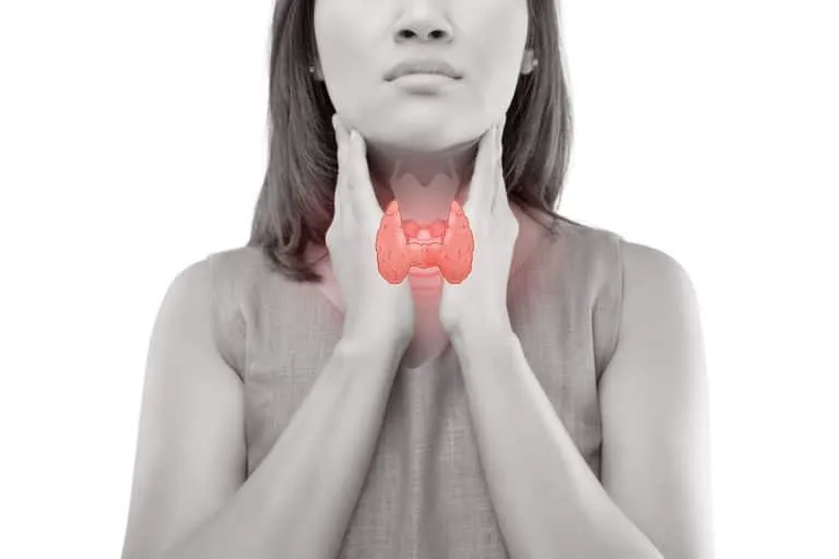 5 Ways Your Thyroid is Impacted by Poor Gut Health