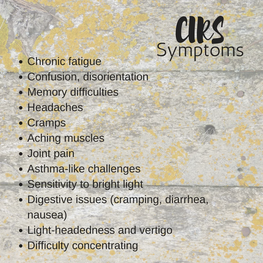 How Mold Can Be Impacting Your Health