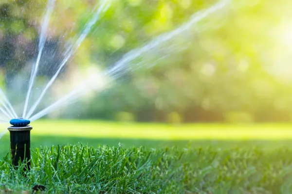 What’s the Best Irrigation System for Your Garden?