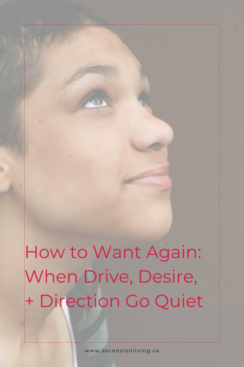 How to Want Again: When Drive, Desire, and Direction Go Quiet