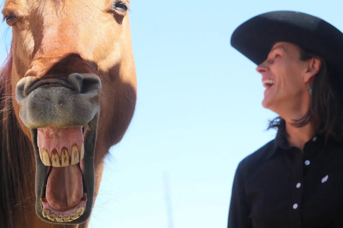 5 Myths of Mental Performance Training