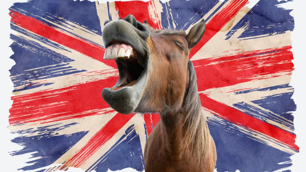 English Humour - Does it exist and how to understand it when you find it