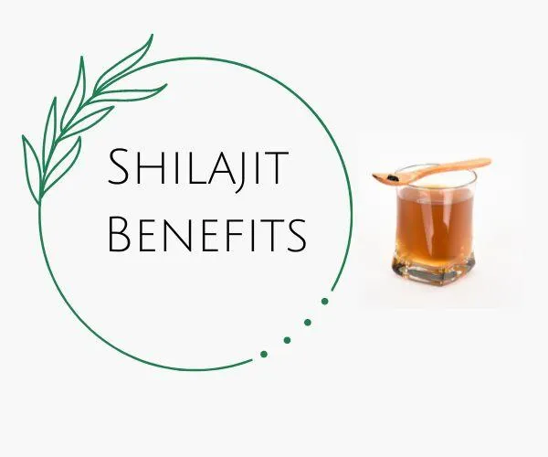 Benefits of Shilajit