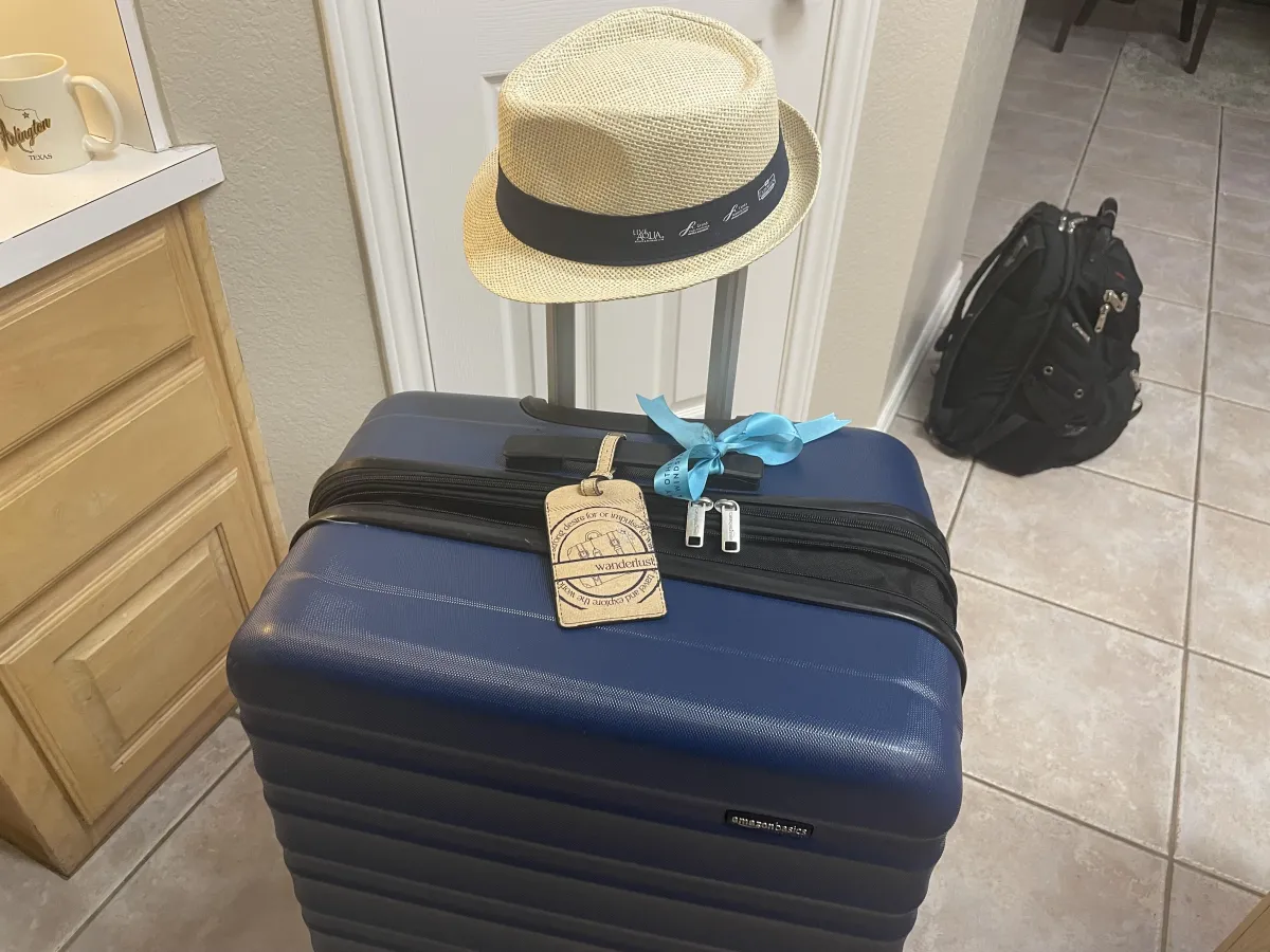 suitcase image