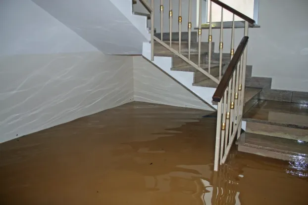 Flooding at Home? How Professional Water Removal Can Save You Money in the Long Run