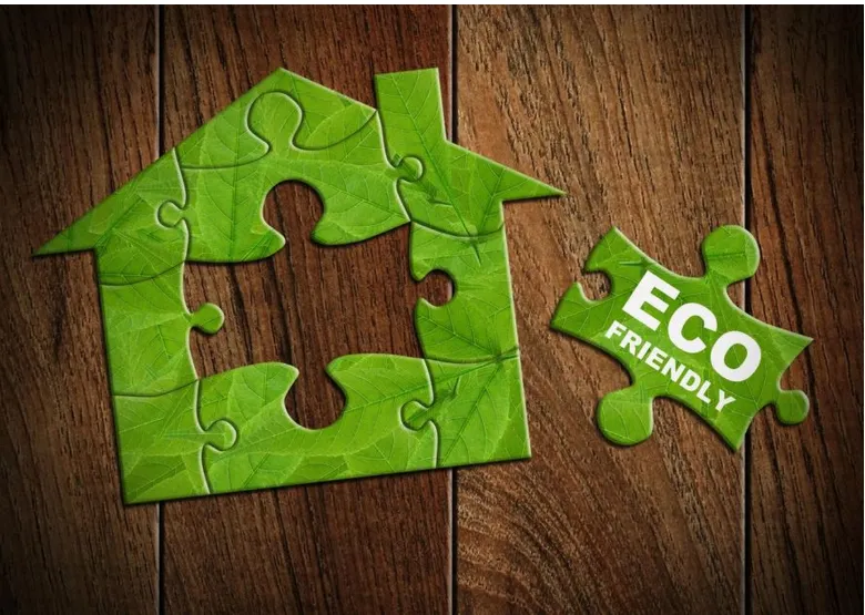 The Rise of Eco-Friendly Water Removal Solutions