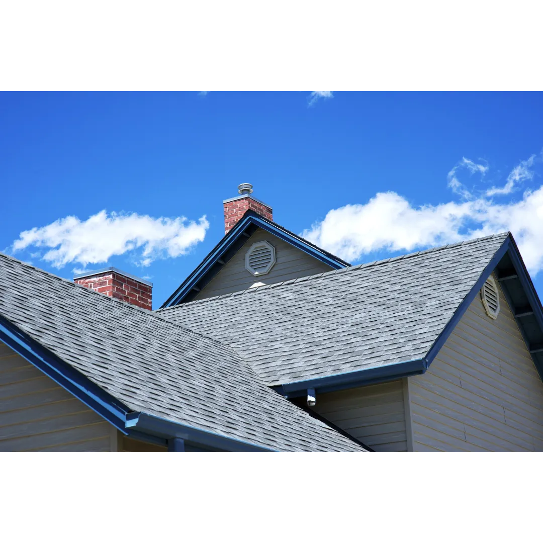 roof cleaning