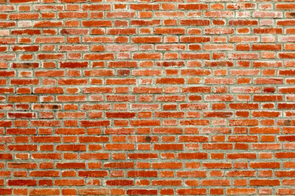 Efflorescence on brick