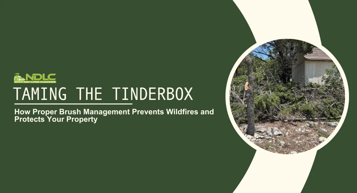 How Proper Brush Management Prevents Wildfires and Protects Your Property