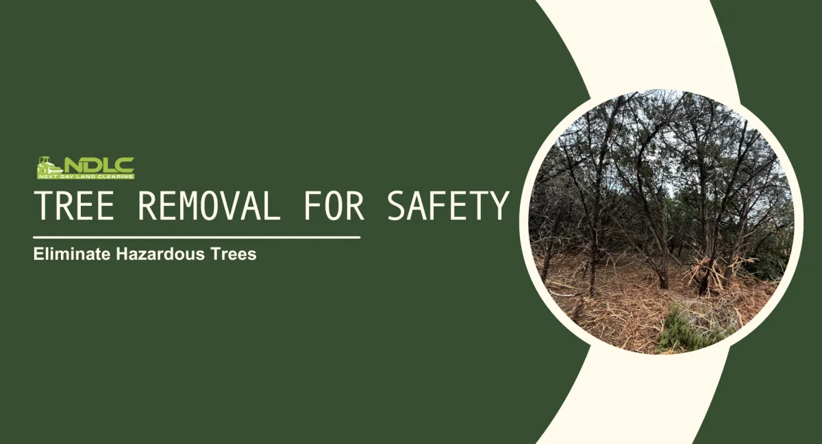 Tree Removal for Safety: Eliminate Hazardous Trees