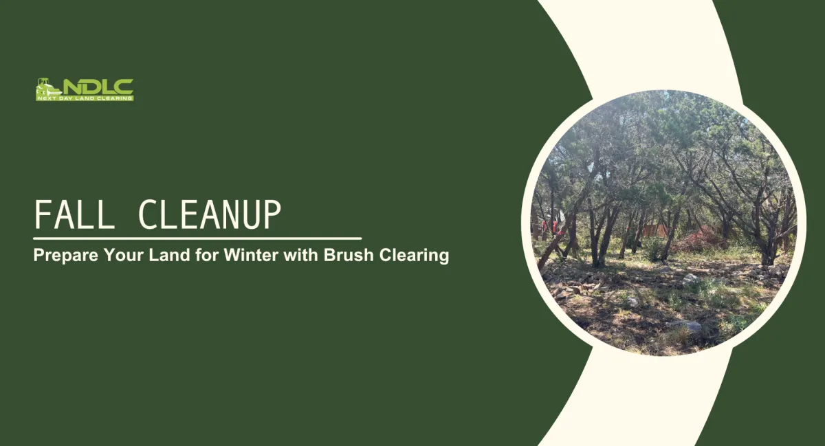 Fall Cleanup: Prepare Your Land for Winter with Brush Clearing