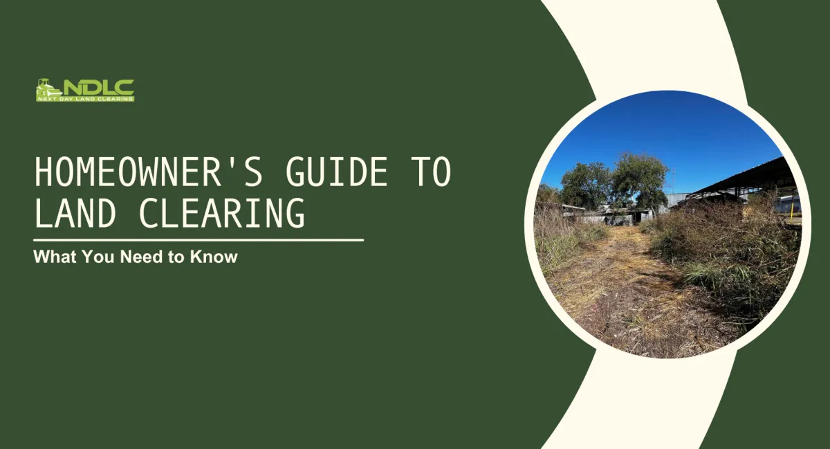 Homeowner's Guide to Land Clearing: What You Need to Know