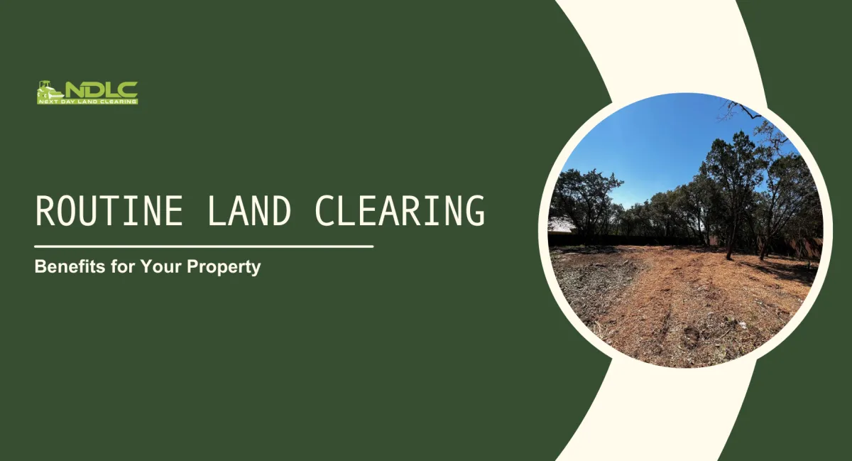 Regular Land Clearing: Benefits for Your Property