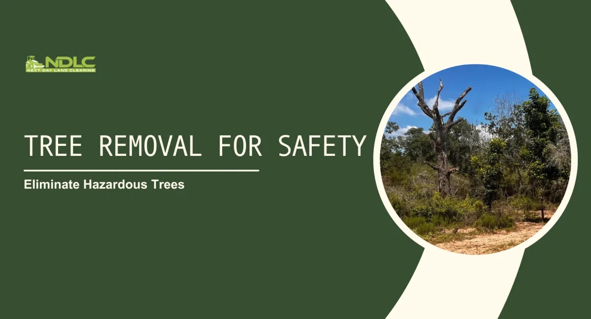 Tree Removal for Safety
