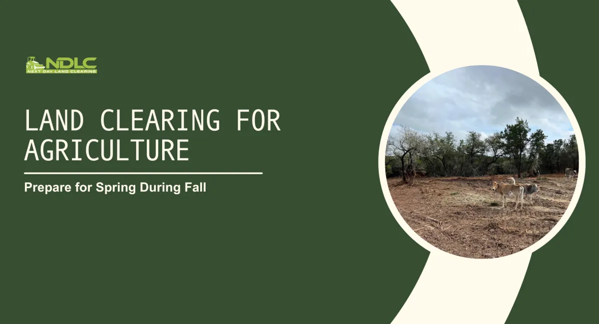 Land Clearing for Agriculture