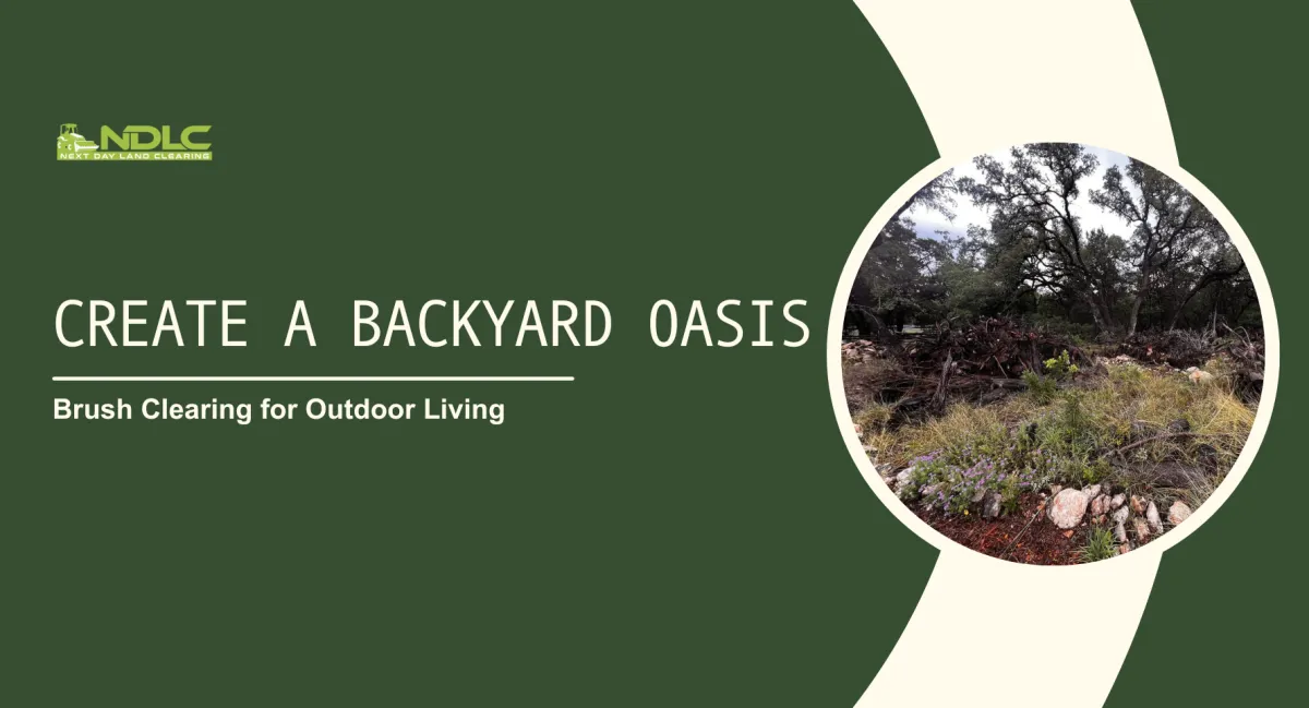 Create a Backyard Oasis