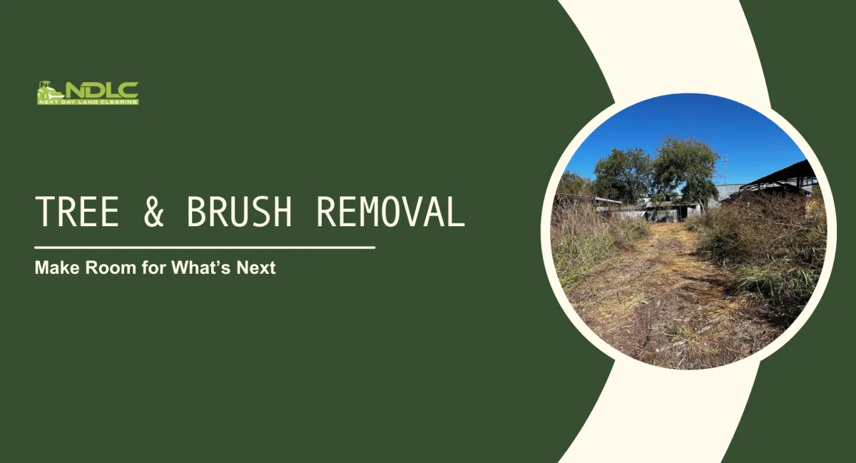 Make Room for What’s Next