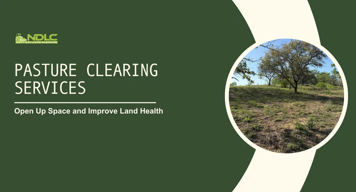 Pasture Clearing Services
