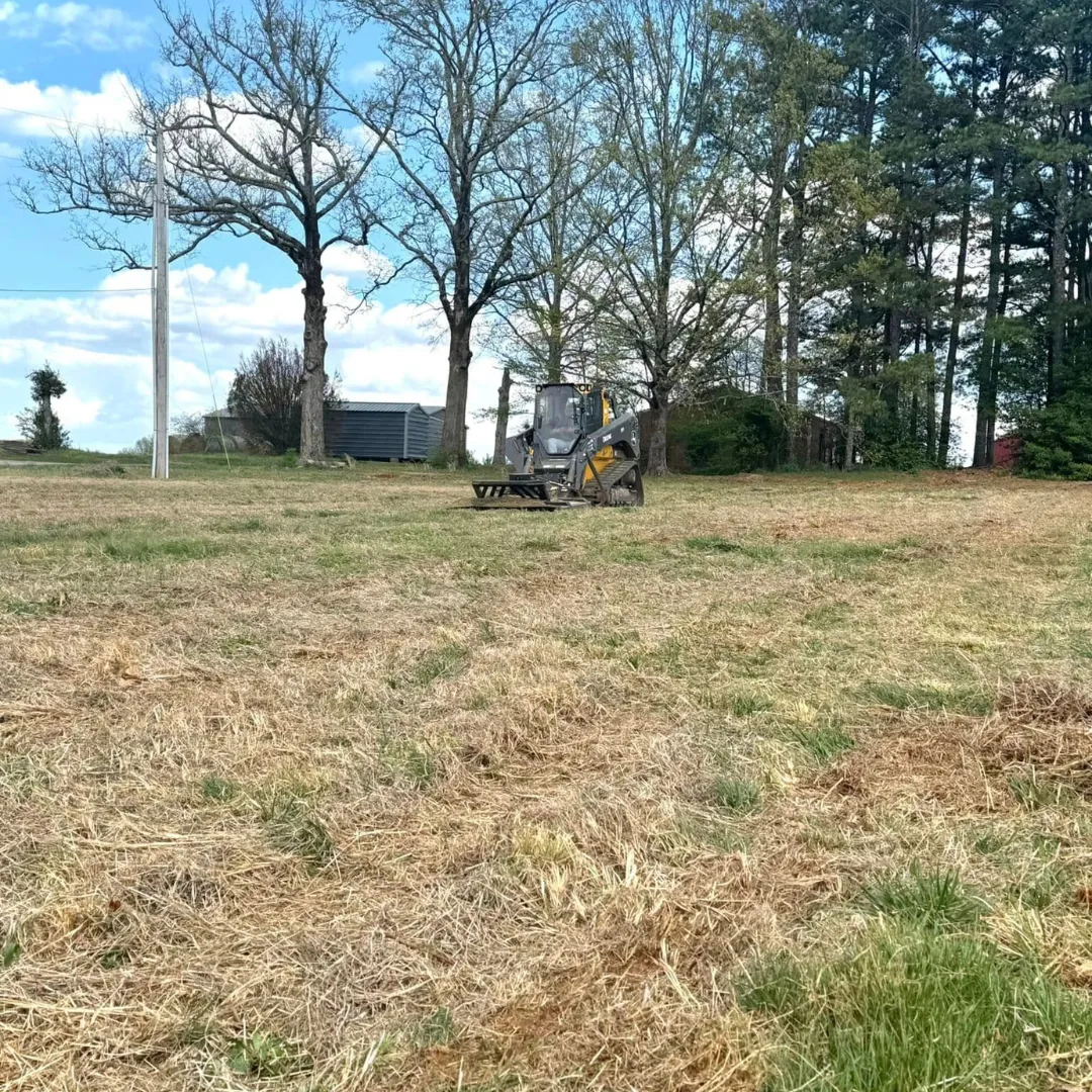 land clearing